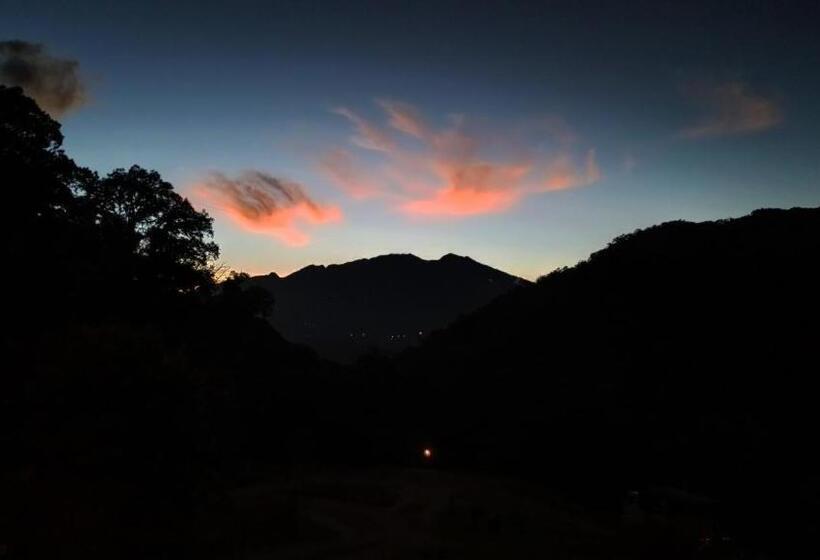 مبيت وإفطار Tree Trek Boquete Adventure Park