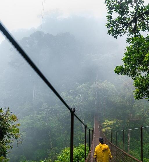 צימר Tree Trek Boquete Adventure Park