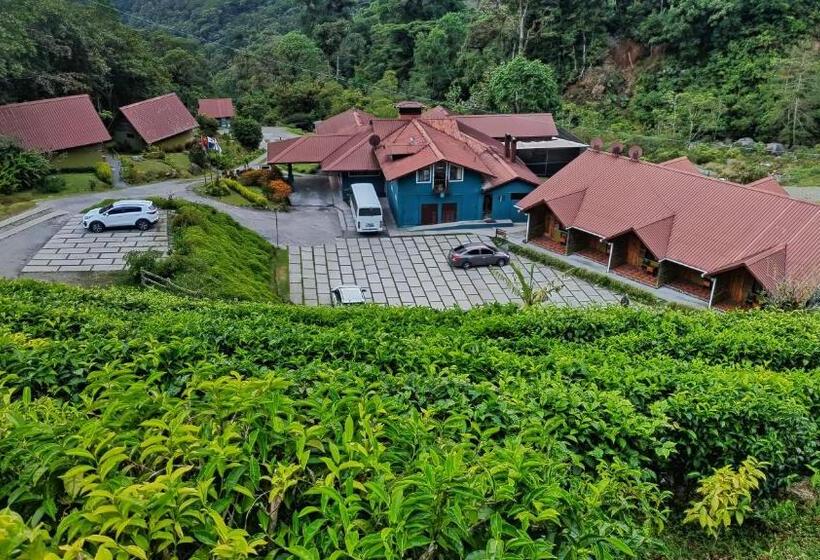 צימר Tree Trek Boquete Adventure Park