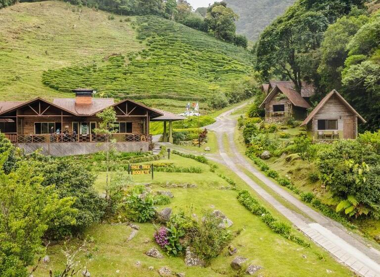 צימר Tree Trek Boquete Adventure Park