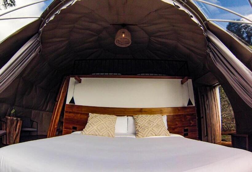 צימר Tree Trek Boquete Adventure Park