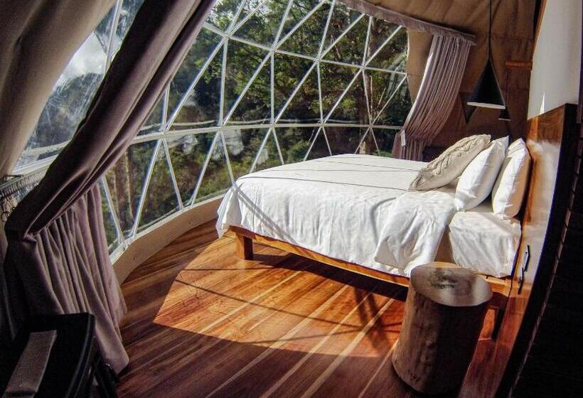 צימר Tree Trek Boquete Adventure Park