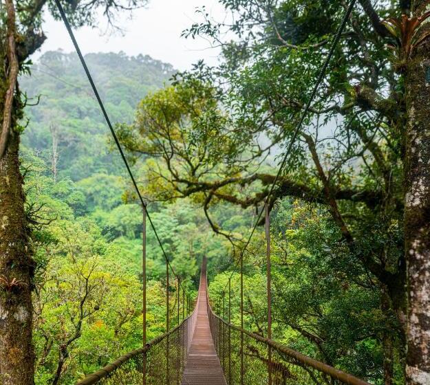 צימר Tree Trek Boquete Adventure Park