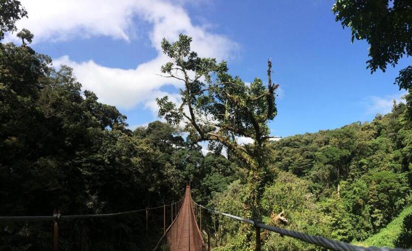 צימר Tree Trek Boquete Adventure Park