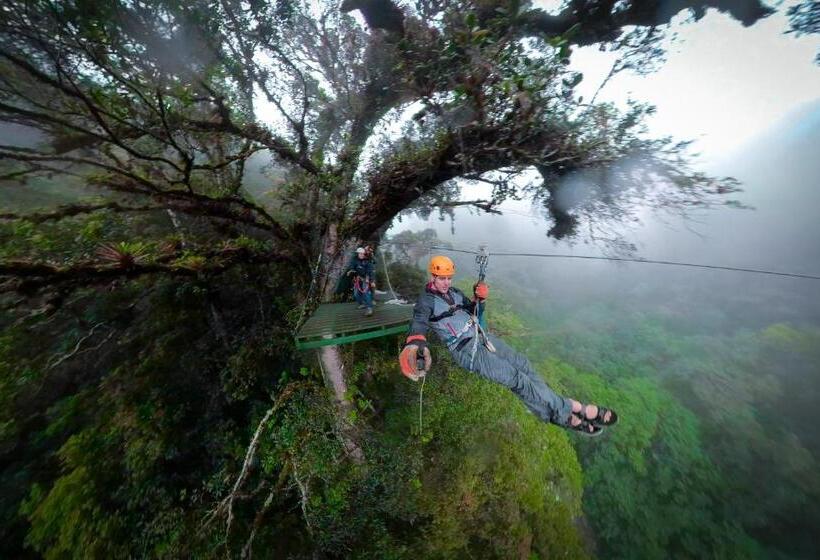 مبيت وإفطار Tree Trek Boquete Adventure Park