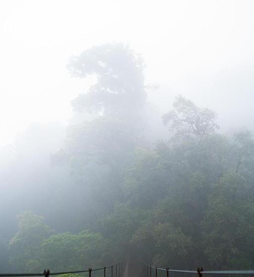 צימר Tree Trek Boquete Adventure Park