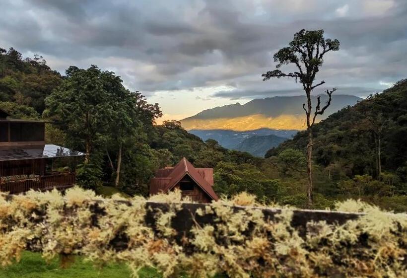 צימר Tree Trek Boquete Adventure Park