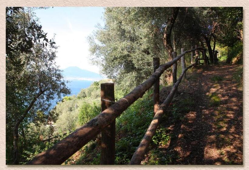 住宿加早餐 Villa Ketty Resort