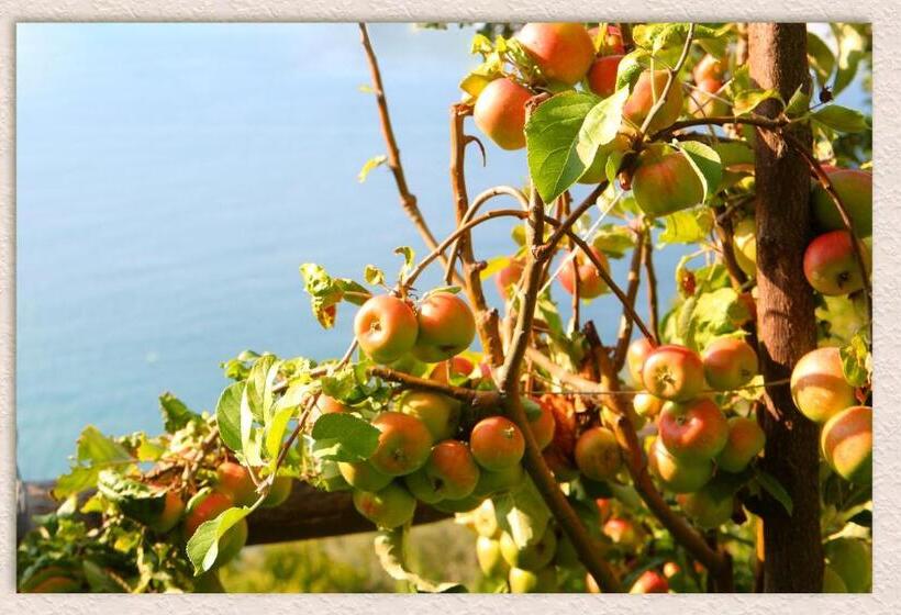 住宿加早餐 Villa Ketty Resort