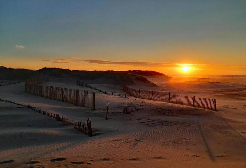 Bryn Melyn Apartments