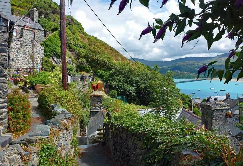 Bryn Melyn Apartments