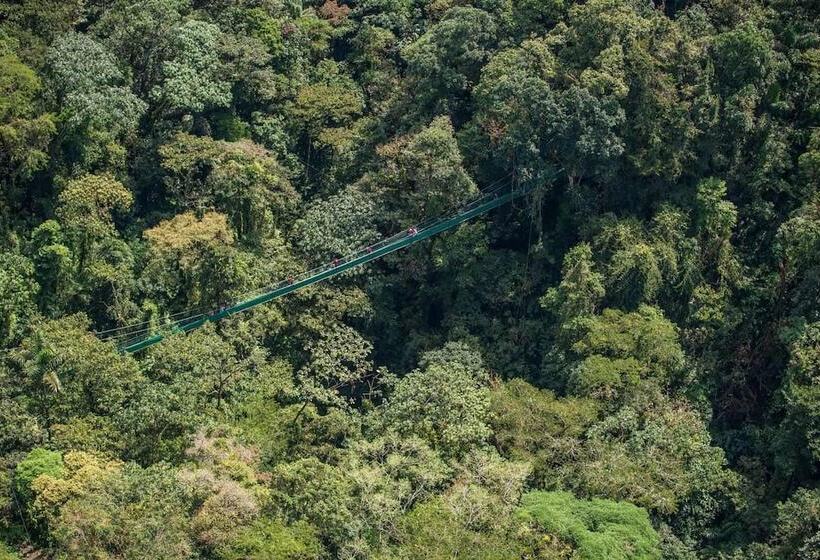 Camino Verde Bed & Breakfast