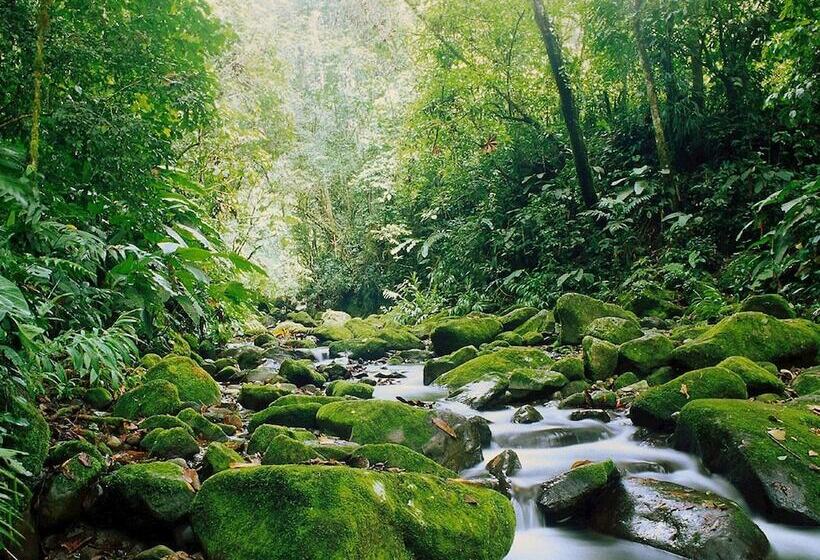 Camino Verde Bed & Breakfast