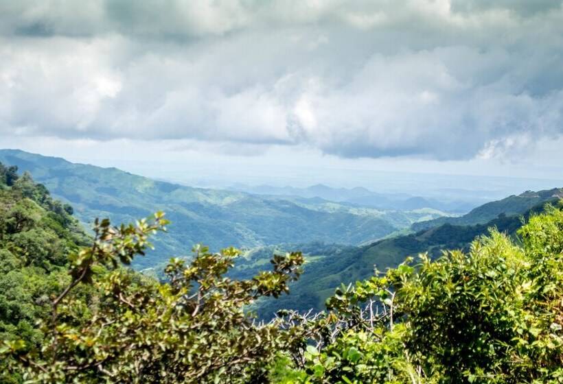 Camino Verde Bed & Breakfast