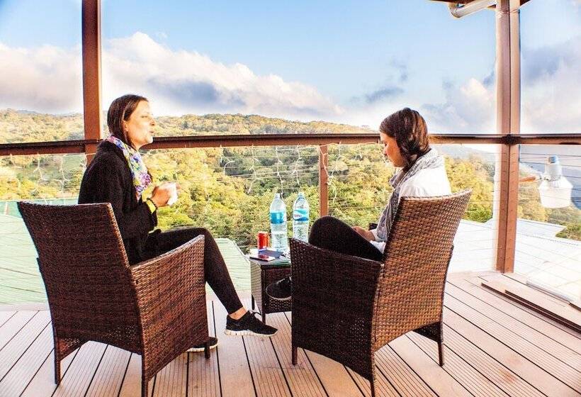 Camino Verde Bed & Breakfast