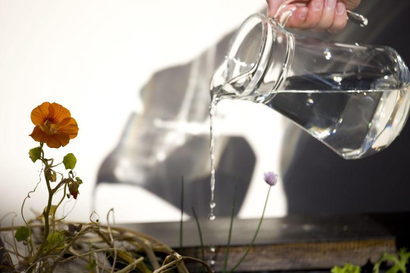 Bed and Breakfast Candlewood Lodge