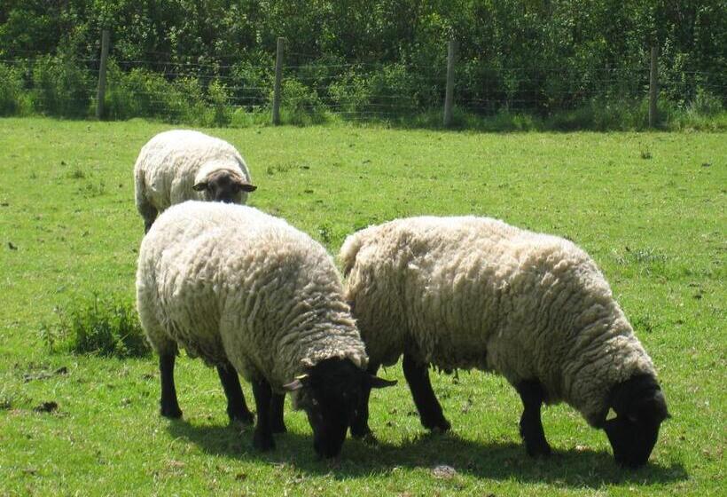 Colston Hall Farmhouse B&b