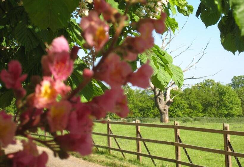 Colston Hall Farmhouse B&b