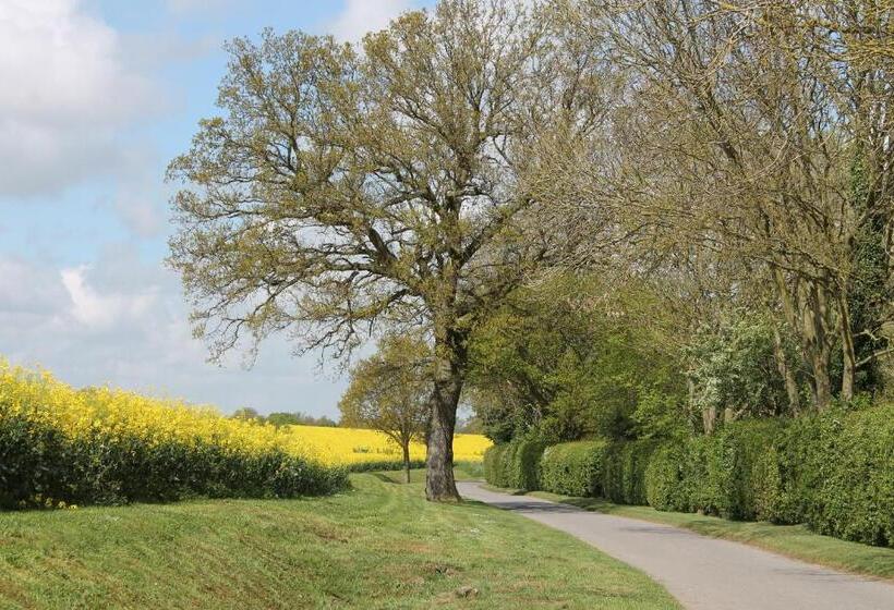 Colston Hall Farmhouse B&b