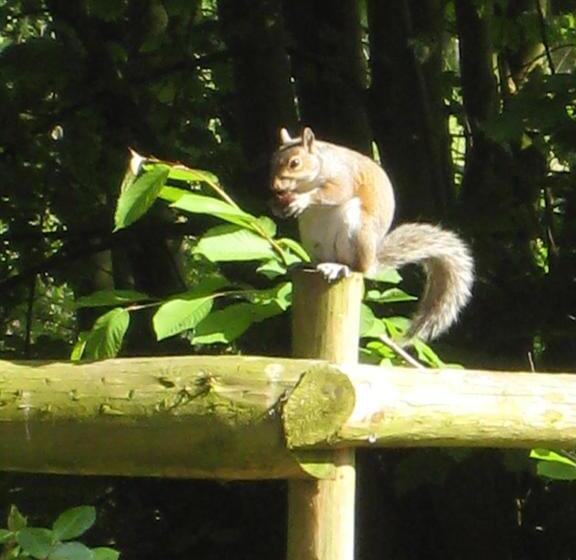 Colston Hall Farmhouse B&b