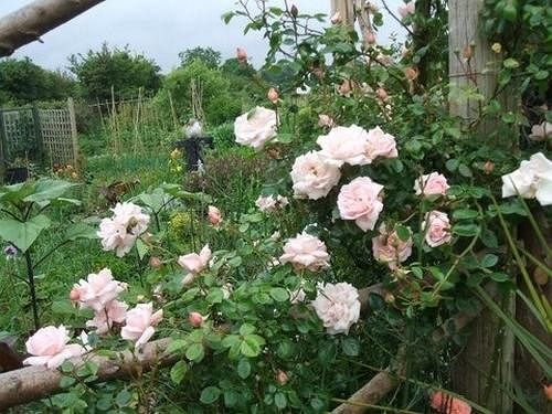 Cross Close House B&b