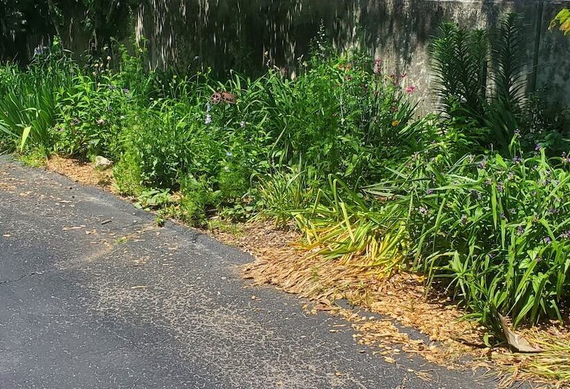 Hall Place Bed And Breakfast