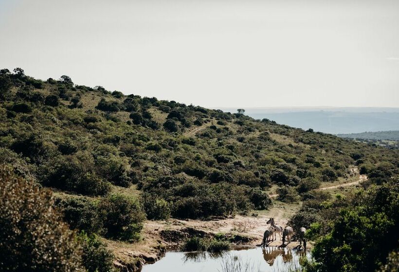 בית מלון כפרי Bukela Game Lodge Amakhala Game Reserve