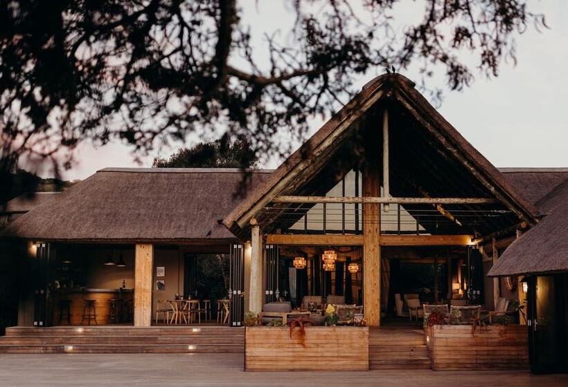 בית מלון כפרי Bukela Game Lodge Amakhala Game Reserve