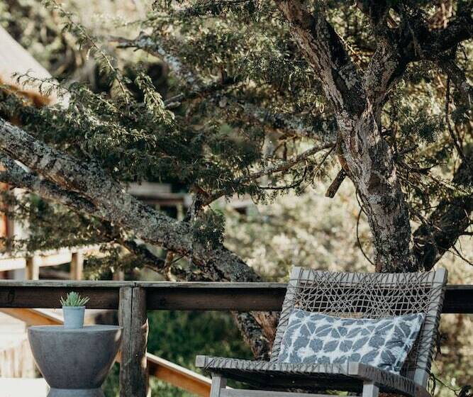 בית מלון כפרי Bukela Game Lodge Amakhala Game Reserve