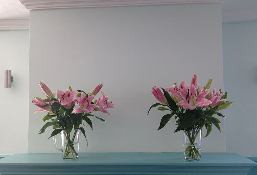 Отель Castle Inn