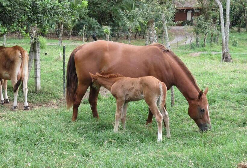 فندق El Silencio Del Campo