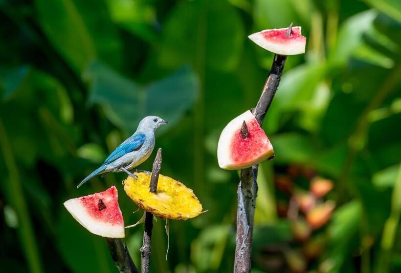 فندق El Silencio Del Campo