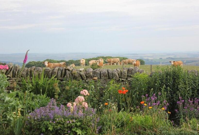 ホテル High Keenley Fell Farm