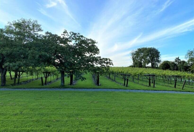 호텔 Jabajak Vineyard Restaurant & Rooms