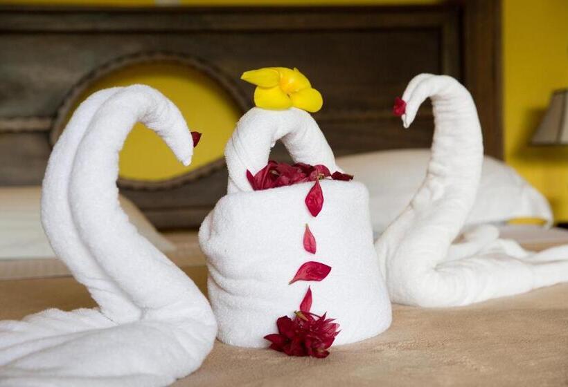 酒店 Kokoro Mineral Hot Springs