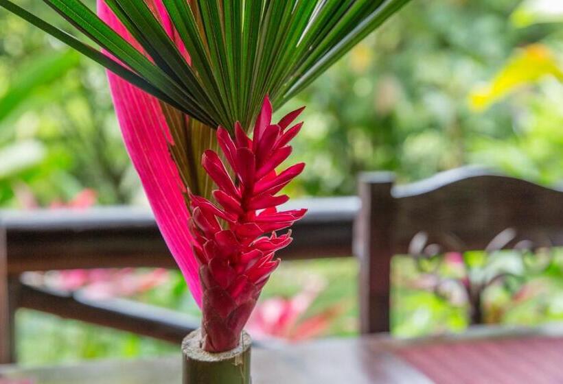 酒店 Kokoro Mineral Hot Springs