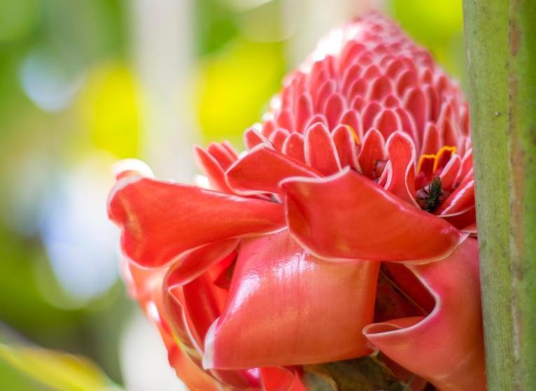 酒店 Kokoro Mineral Hot Springs