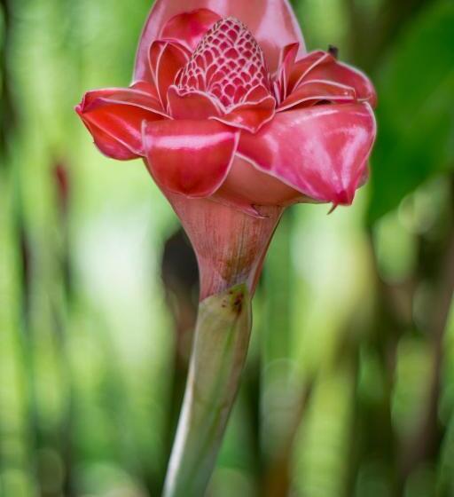 酒店 Kokoro Mineral Hot Springs