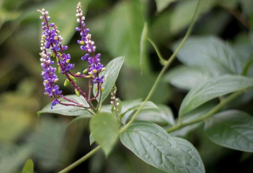 酒店 Kokoro Mineral Hot Springs