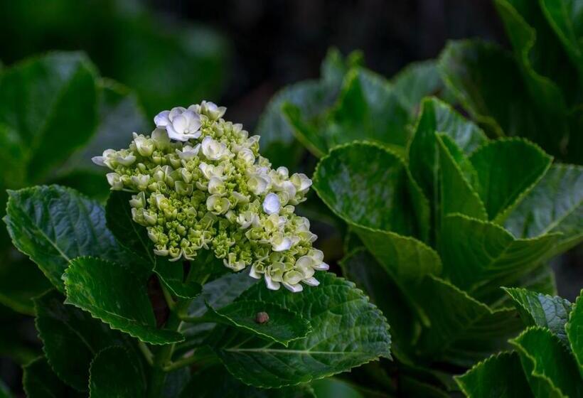 酒店 Kokoro Mineral Hot Springs