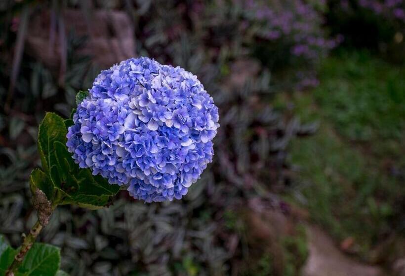 酒店 Kokoro Mineral Hot Springs