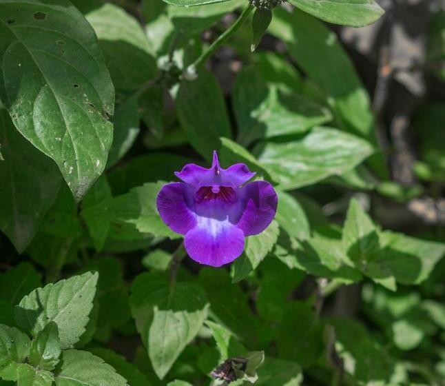 酒店 Kokoro Mineral Hot Springs
