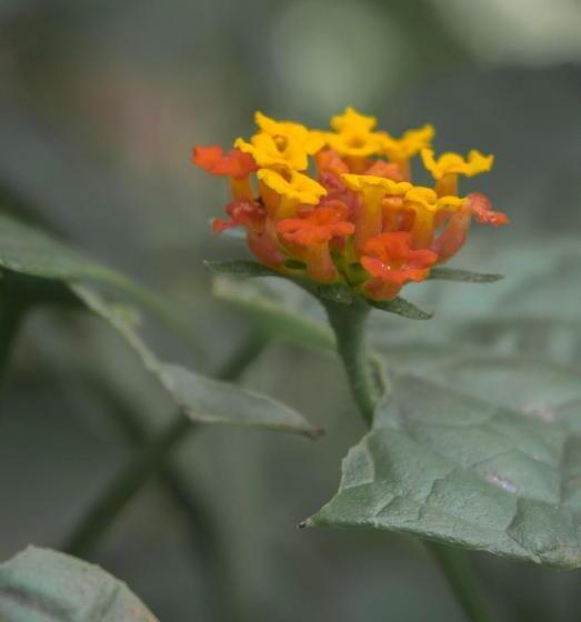 酒店 Kokoro Mineral Hot Springs