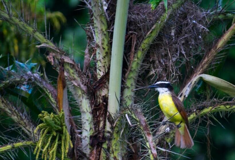 酒店 Kokoro Mineral Hot Springs