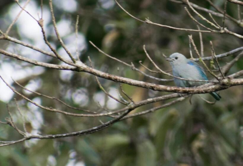 酒店 Kokoro Mineral Hot Springs