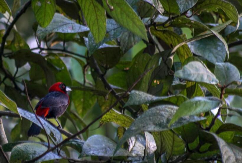 酒店 Kokoro Mineral Hot Springs