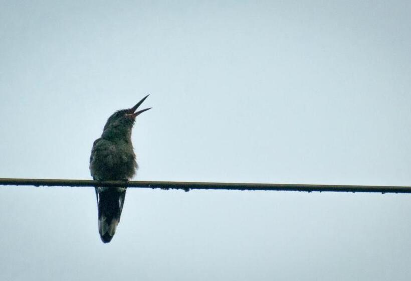 酒店 Kokoro Mineral Hot Springs