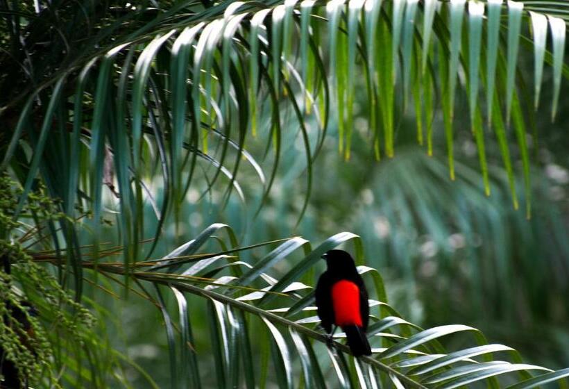 酒店 Kokoro Mineral Hot Springs