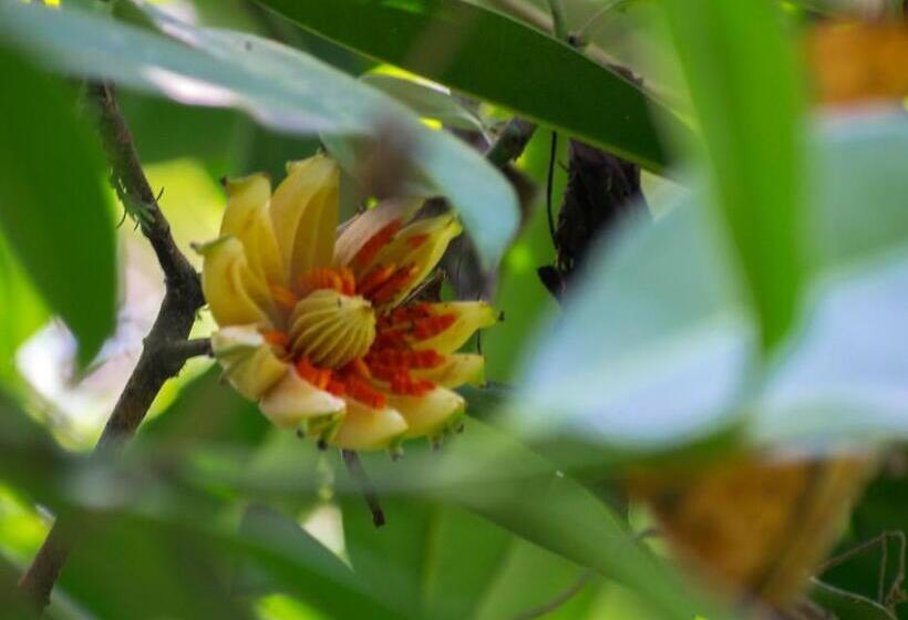 酒店 Kokoro Mineral Hot Springs