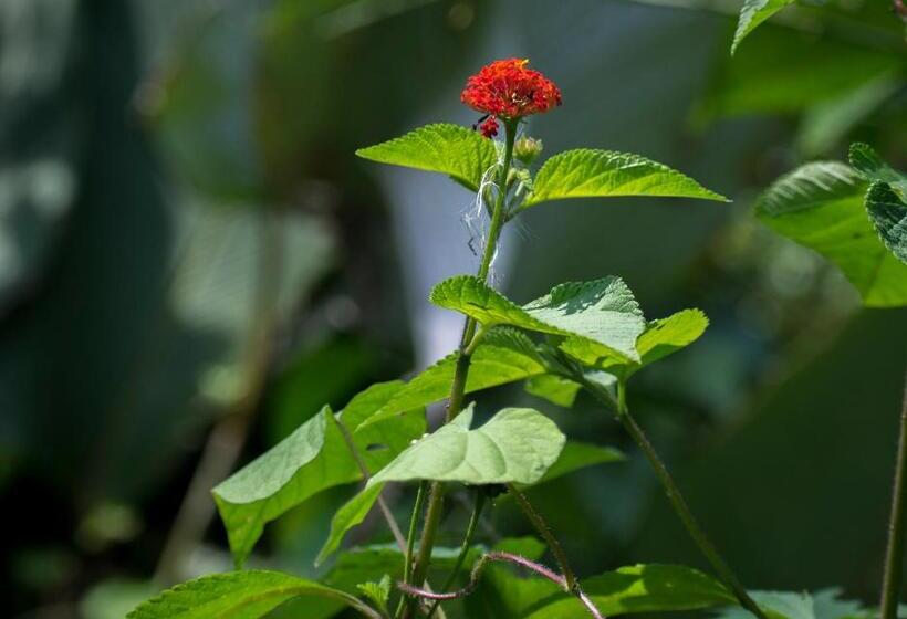 酒店 Kokoro Mineral Hot Springs